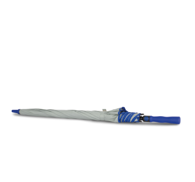 Storm Grey / Royal Blue