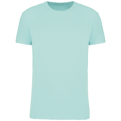 Ice Mint
