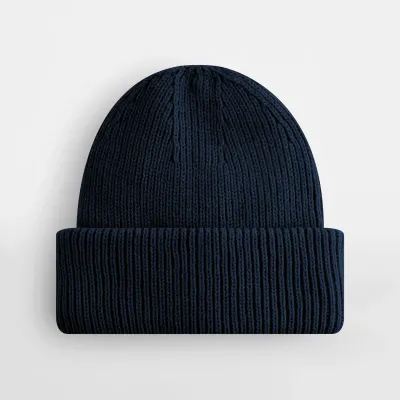 French Navy