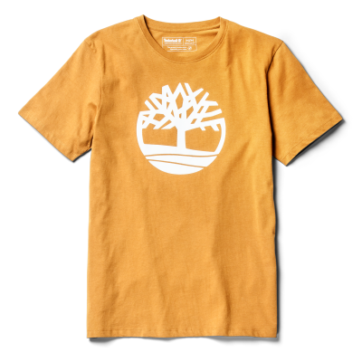 Wheat